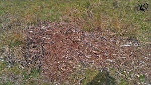 detail cartierheide hapert site