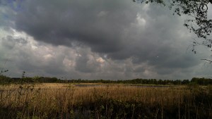 overzicht cartierheide hapert site